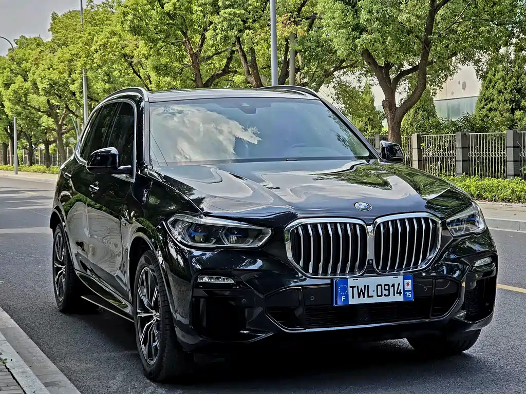 BMW X5 (Import) — миниатюра 2