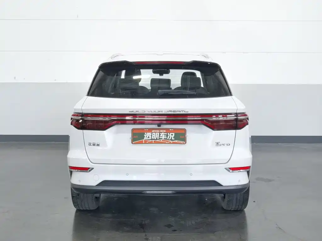 BYD Pro New Energy — миниатюра 4