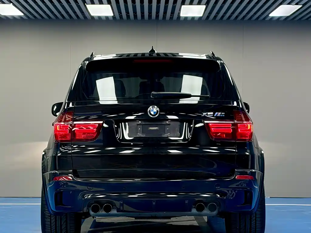 BMW X5 M 2010 X5 M