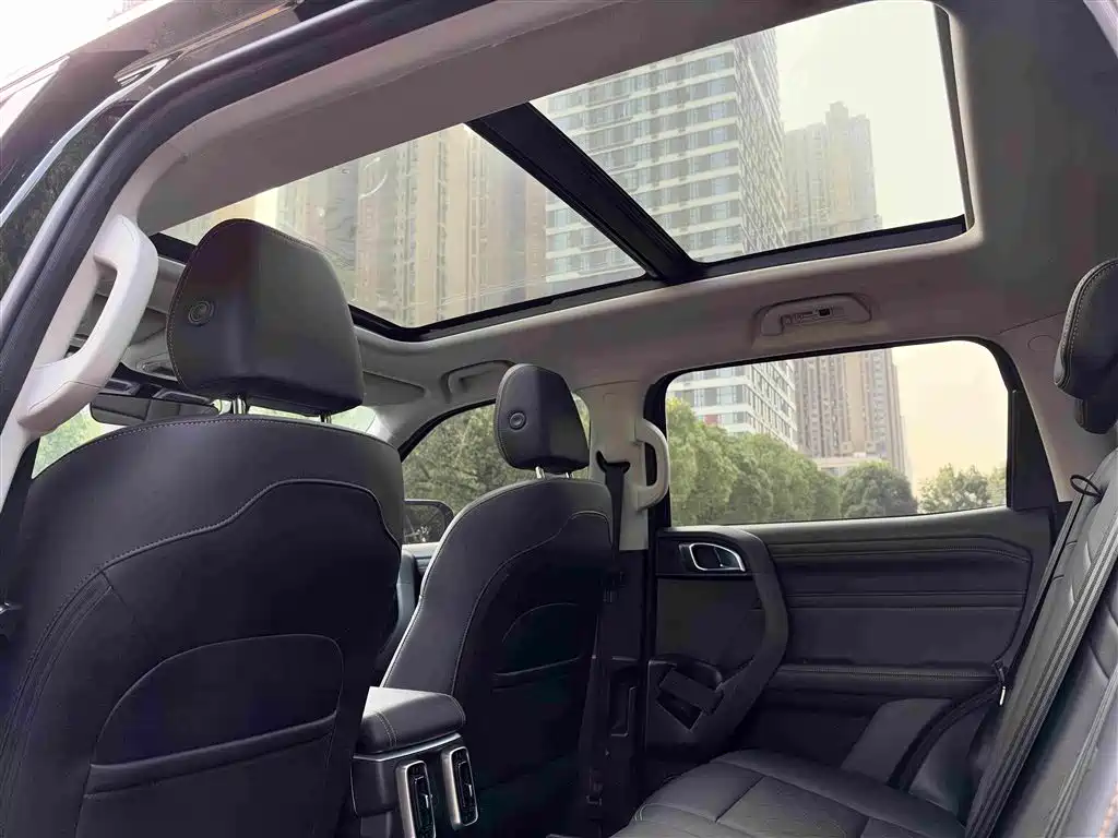 Haval Big Dog — миниатюра 29