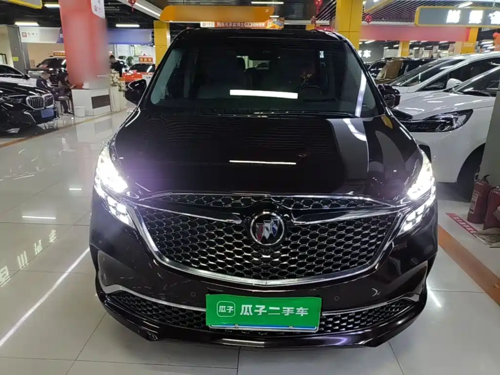 Buick GL8 — миниатюра 3