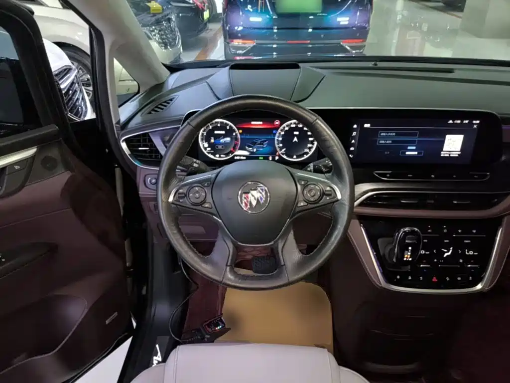 Buick GL8 — миниатюра 11