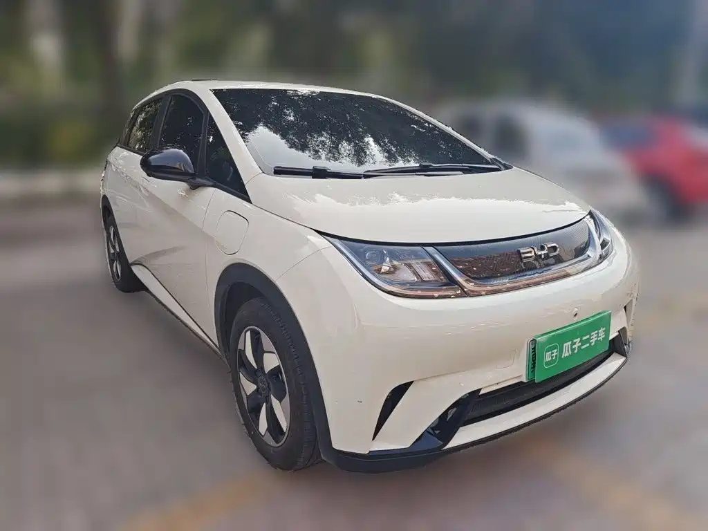 BYD Dolphin — миниатюра 25