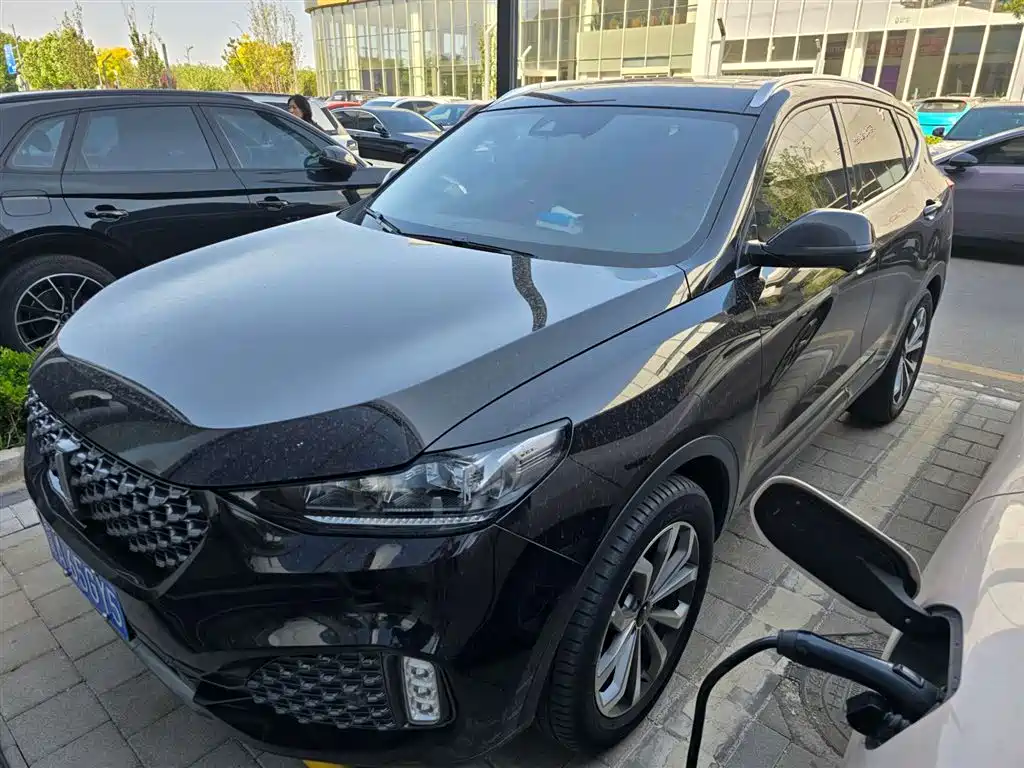 Wey Wey VV6 2020