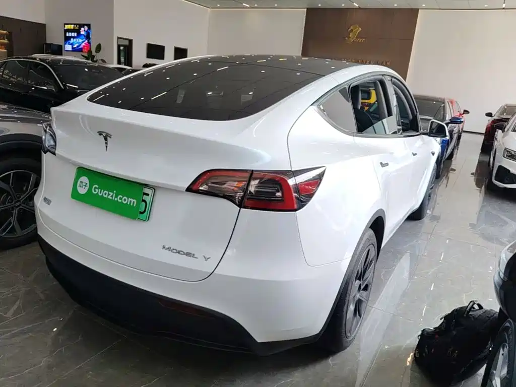 Tesla Model Y — миниатюра 7