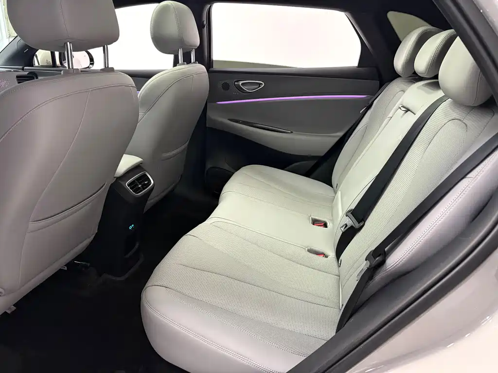 BYD SEA LION 06 NEW ENERGY