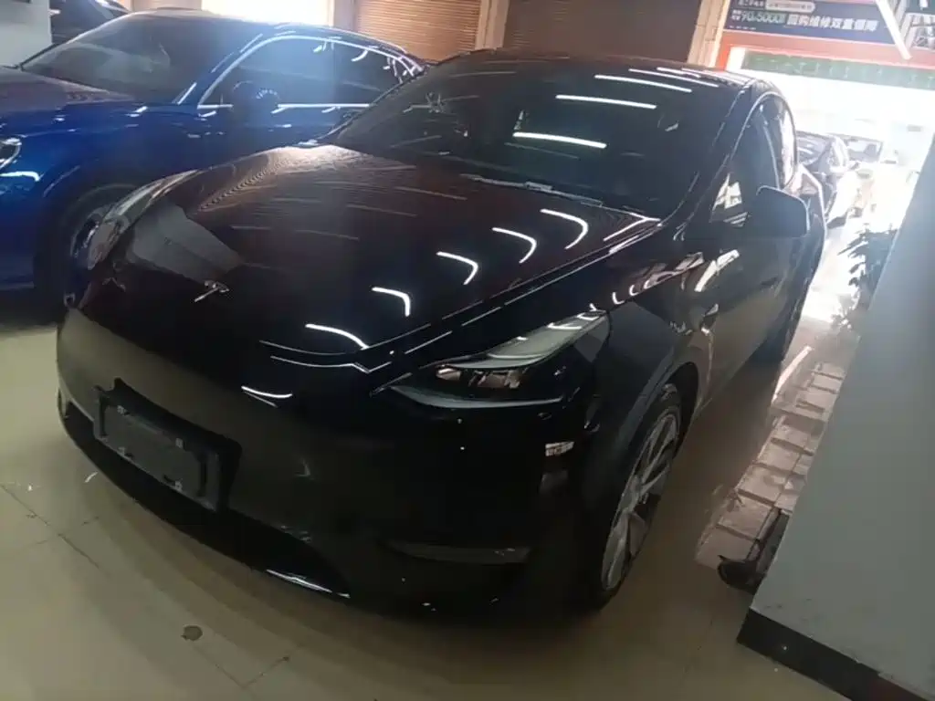 Tesla Model Y — миниатюра 2