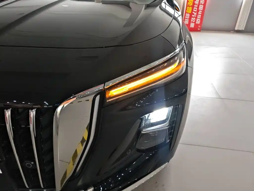 Hongqi Hongqi H5 PHEV — миниатюра 24