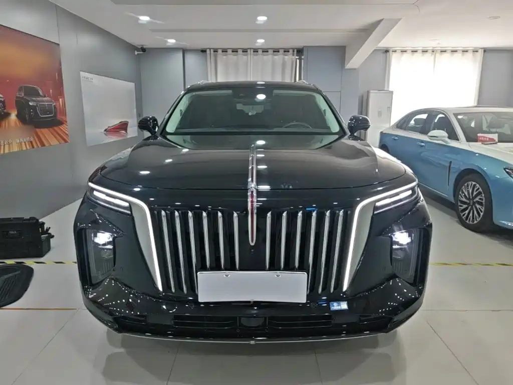 Hongqi Hongqi E-HS9 — миниатюра 3