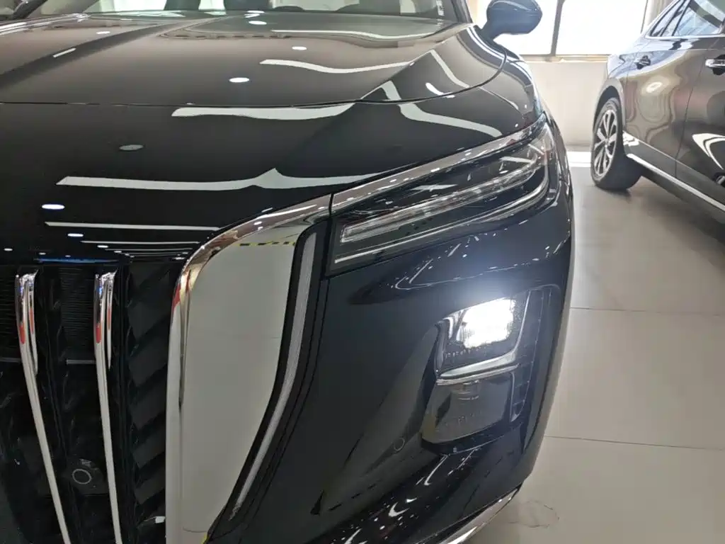Hongqi Hongqi H5 PHEV — миниатюра 24