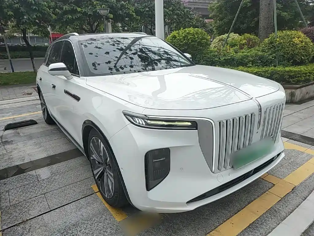 Hongqi Hongqi E-HS9 — миниатюра 4