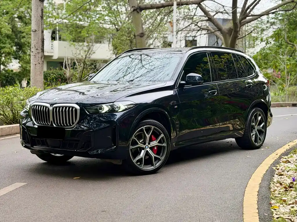 BMW X5 2024