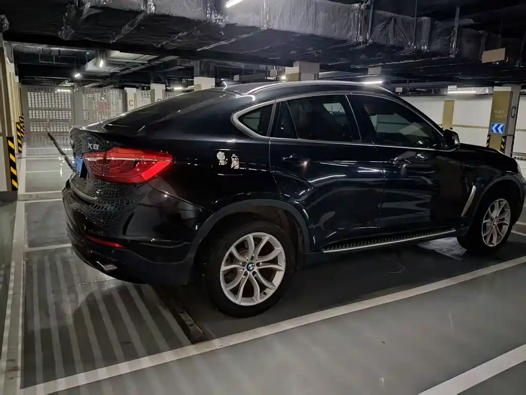 BMW X6 — миниатюра 4