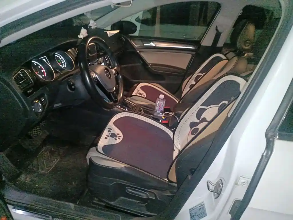 Volkswagen Golf — миниатюра 8