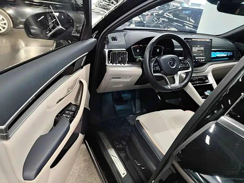 BYD PLUS New Energy — миниатюра 16