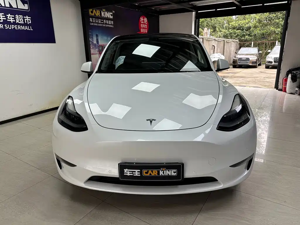 Tesla Model Y — миниатюра 2