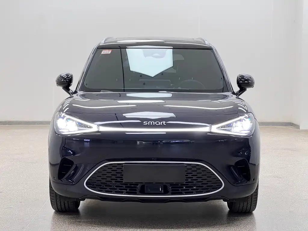 smart Smart #1 — миниатюра 2