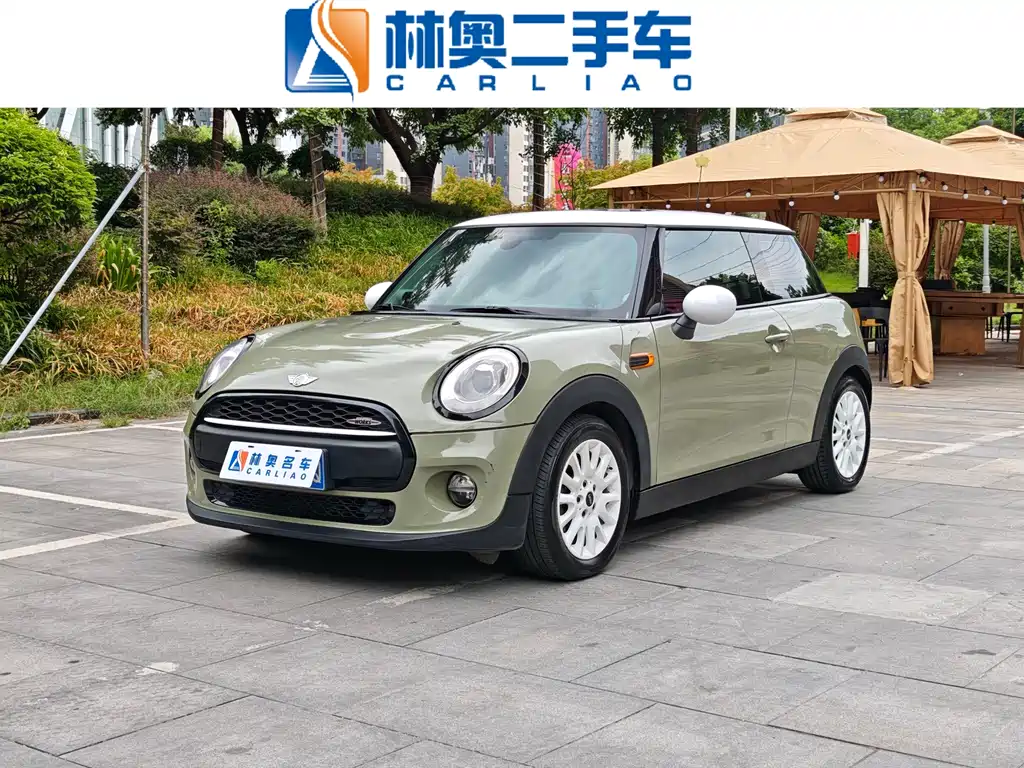 Mini Mini 2016