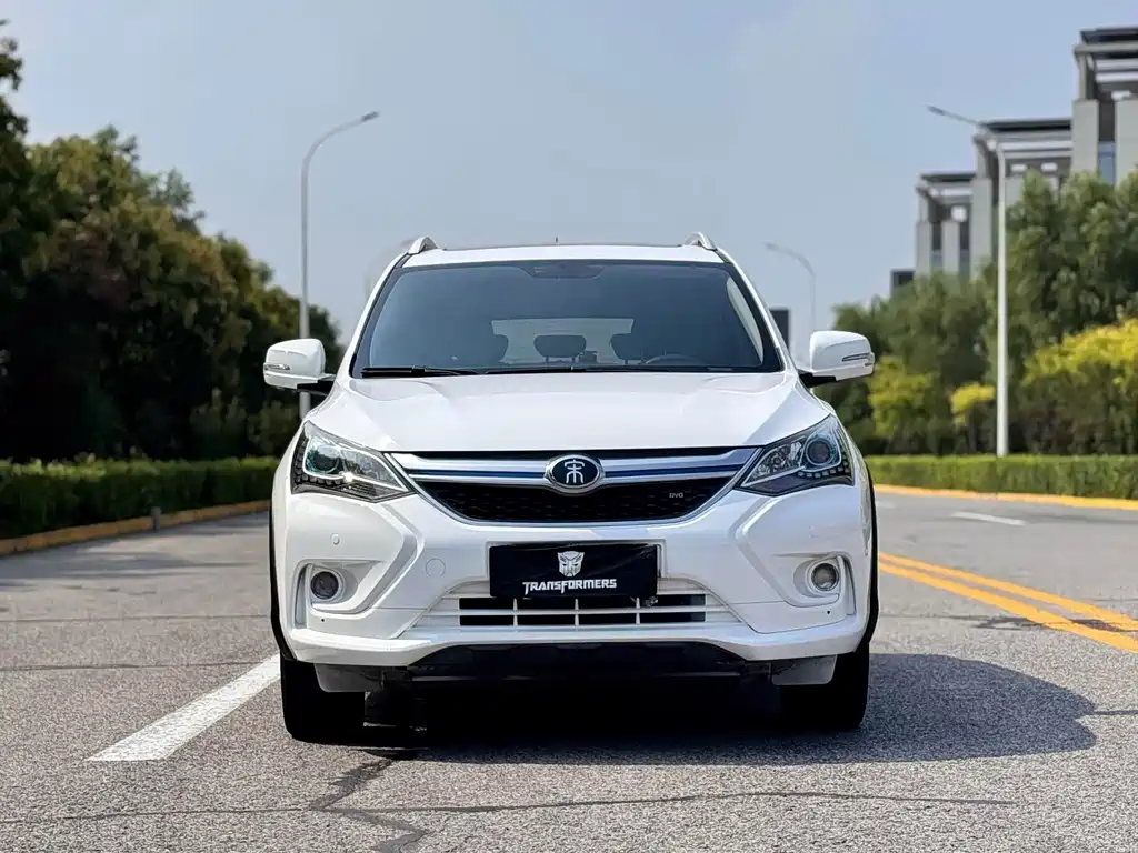 BYD New Energy — миниатюра 2