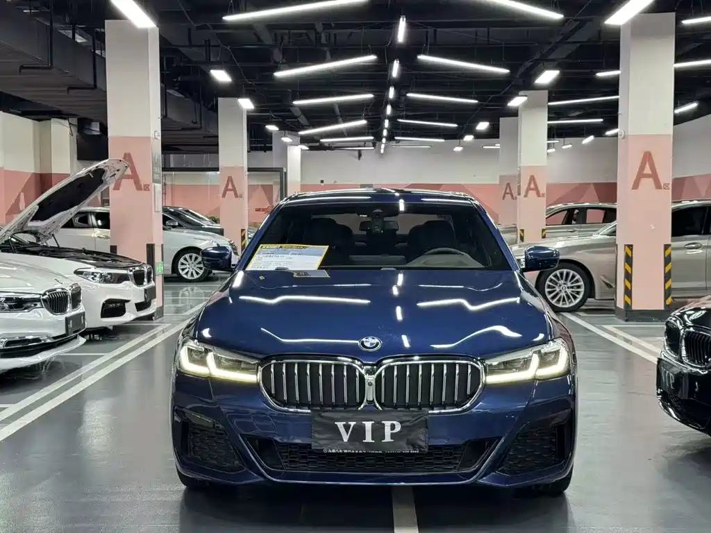 BMW 5 Series — миниатюра 2