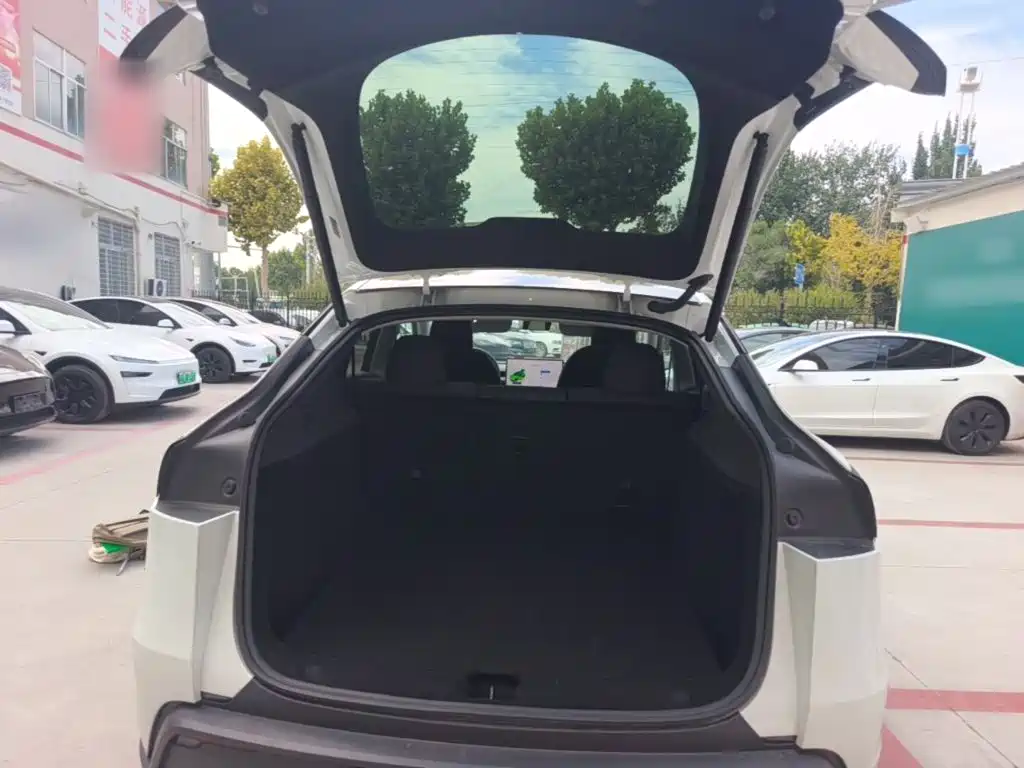 Tesla Model Y — миниатюра 19