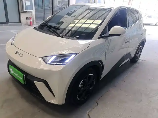 2025 BYD Seagull