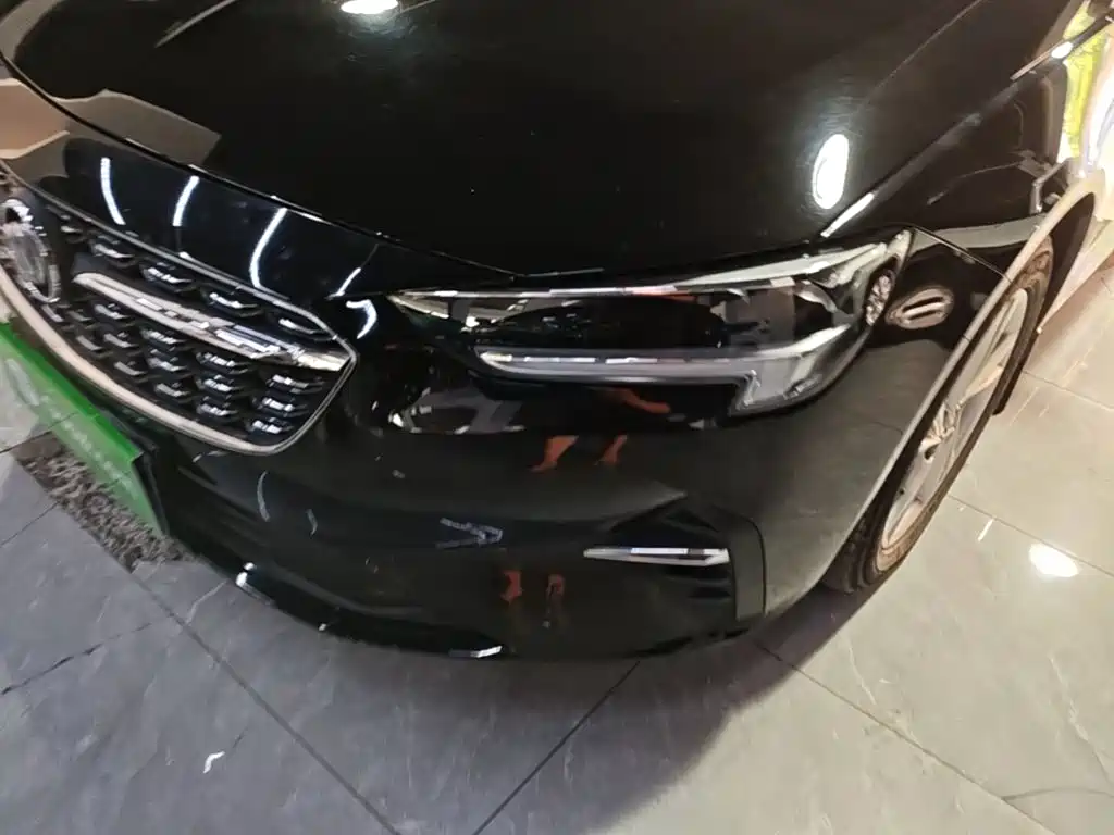 Buick Regal — миниатюра 24