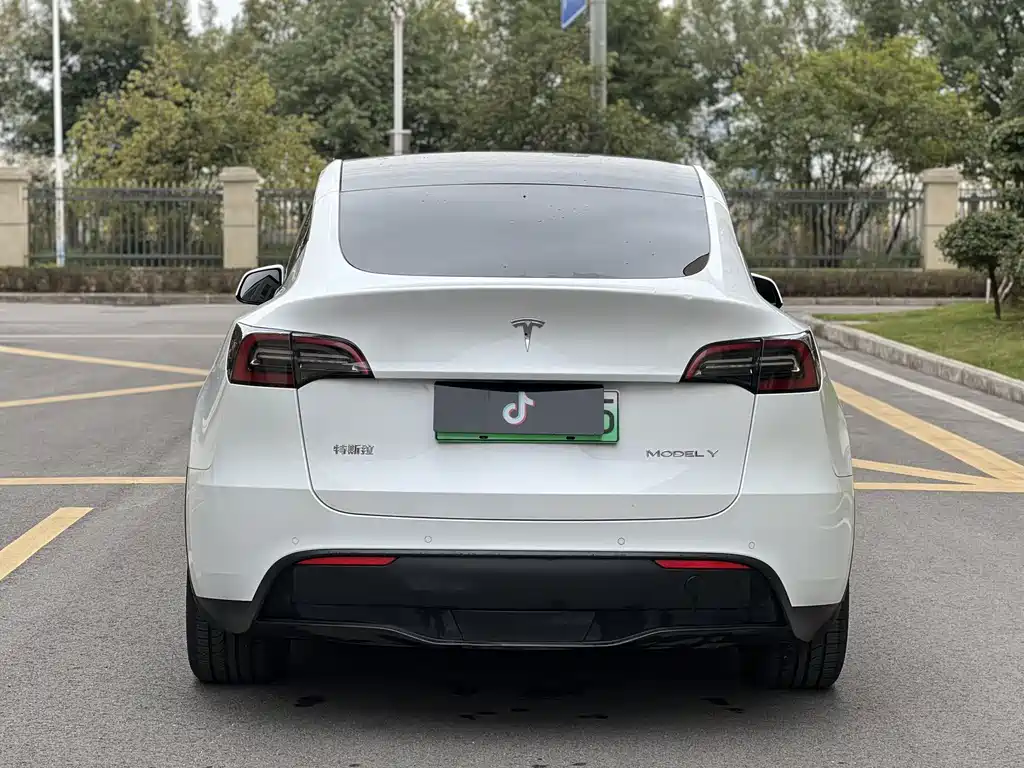 Tesla Model Y — миниатюра 16
