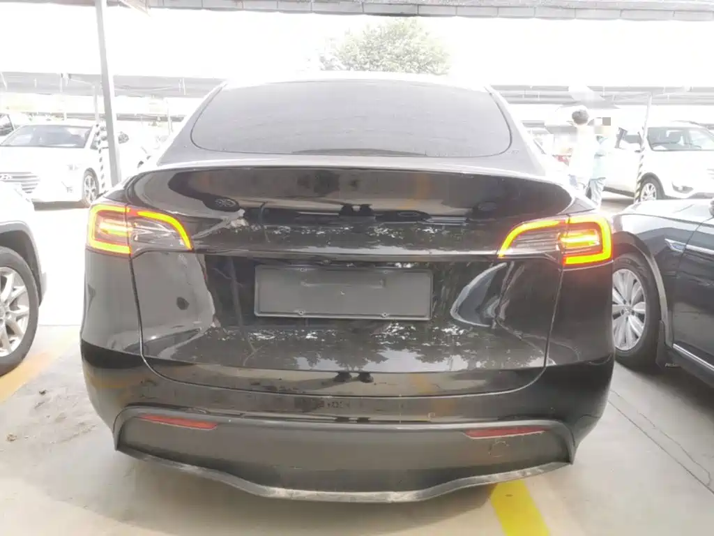 Tesla Model Y — миниатюра 6