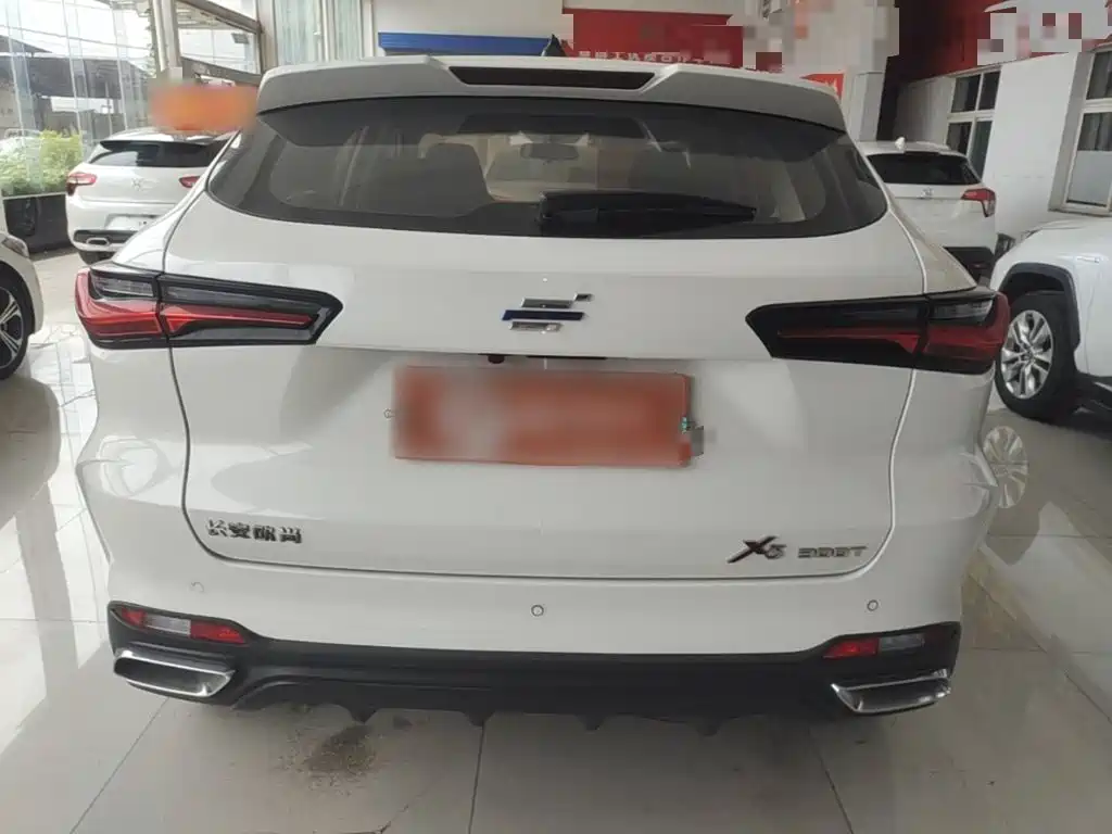 Oshan Oushang X5 — миниатюра 6