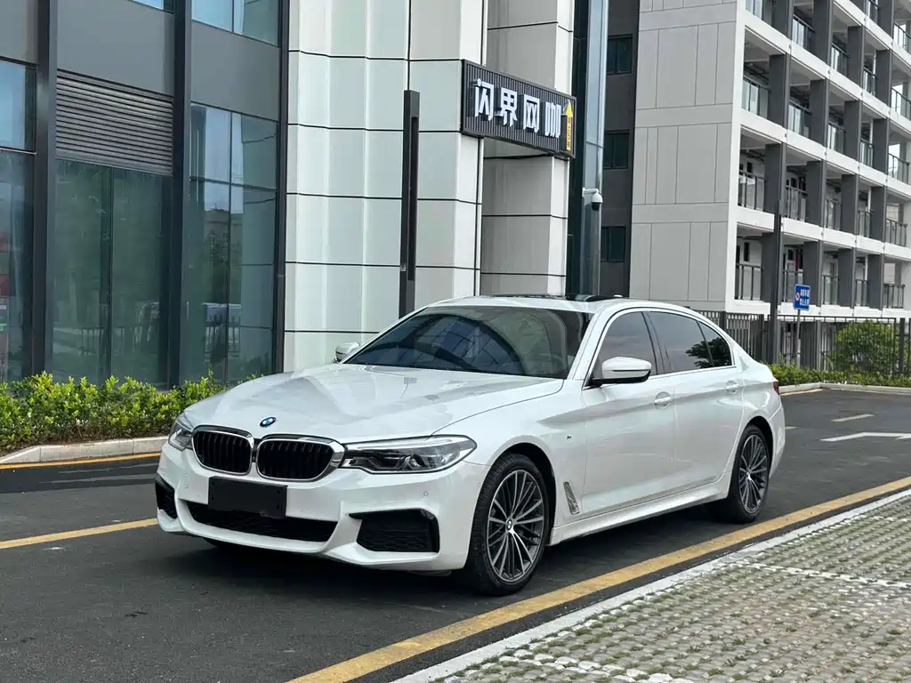 BMW 5 SERIES