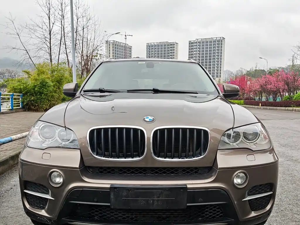 BMW X5 (Import) 2011