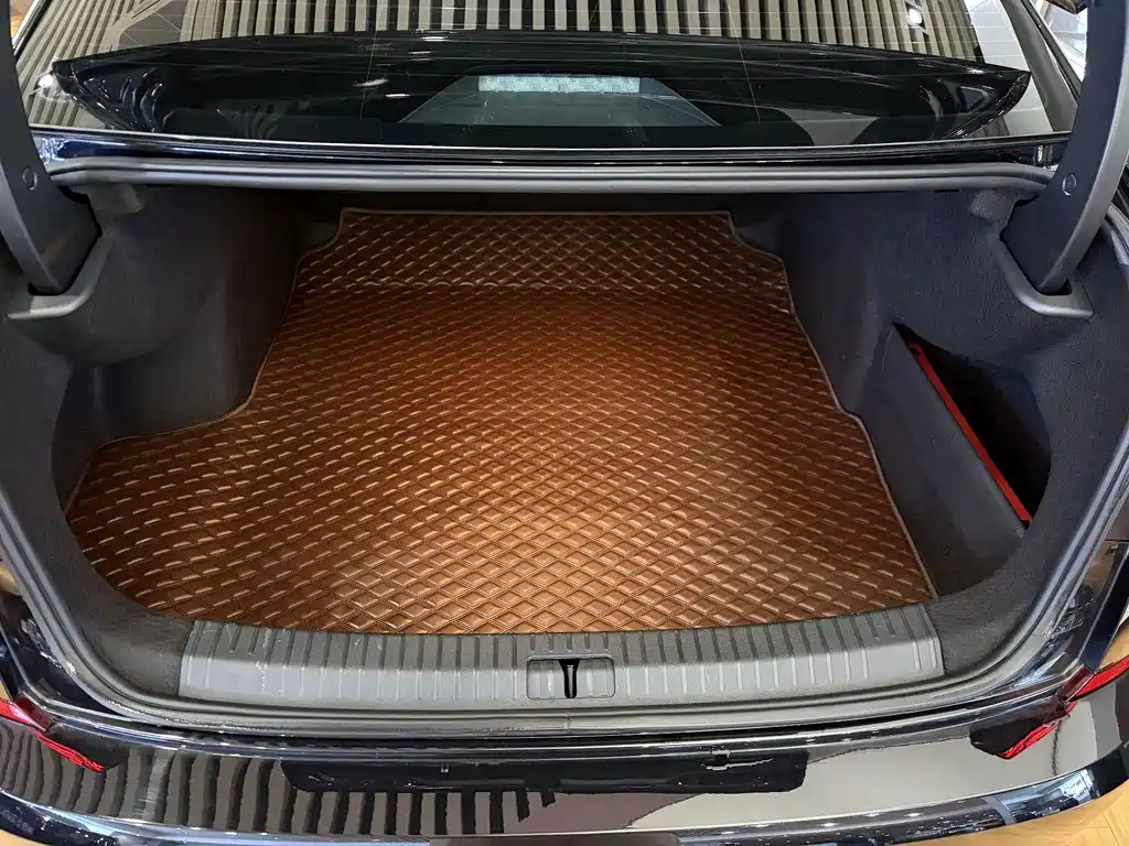 Volkswagen Passat — миниатюра 11