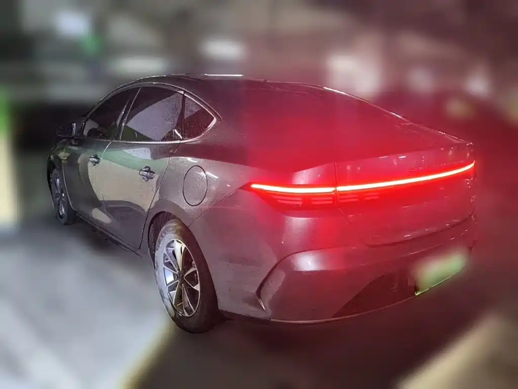 BYD Destroyer 05 — миниатюра 24