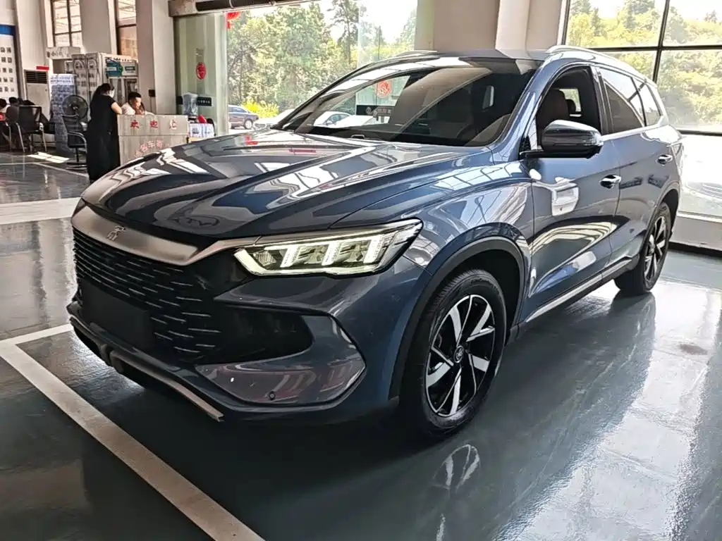 BYD Pro New Energy — миниатюра 2