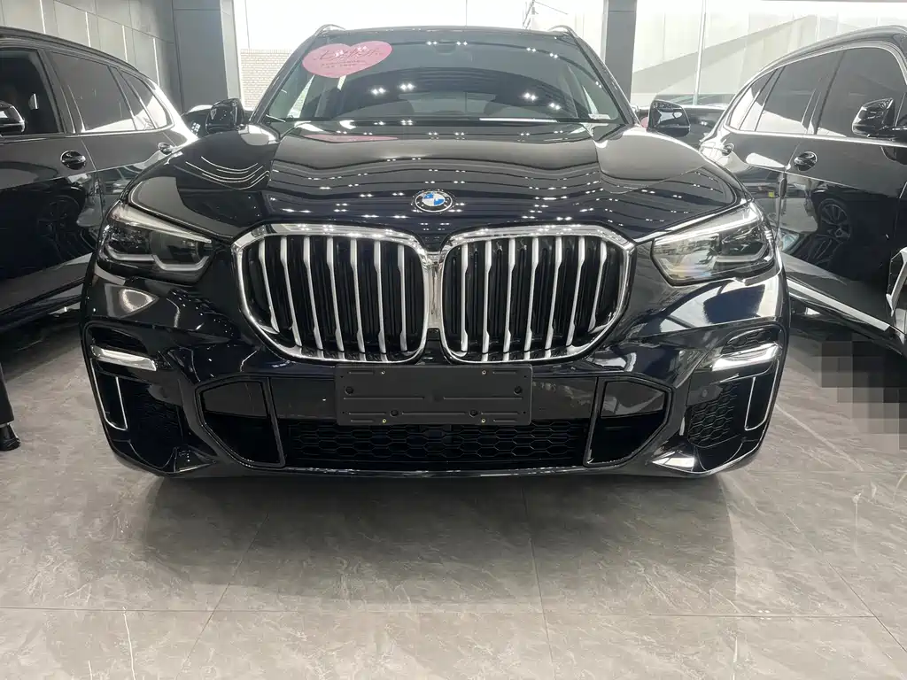 BMW X5 — миниатюра 2