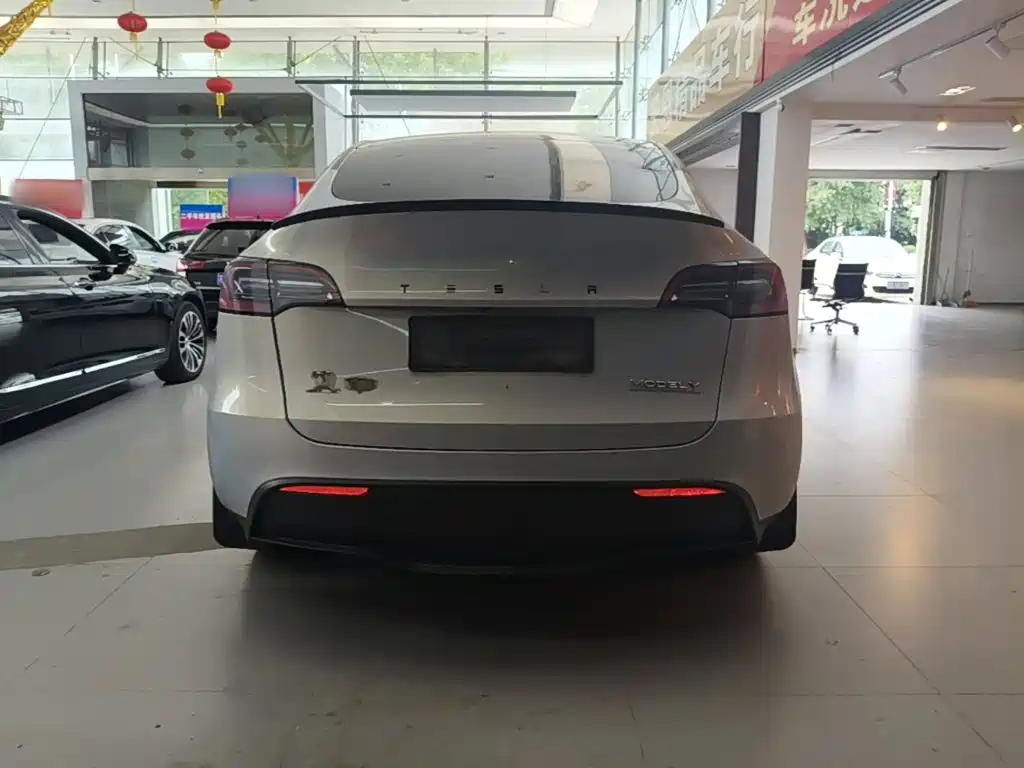Tesla Model Y — миниатюра 6