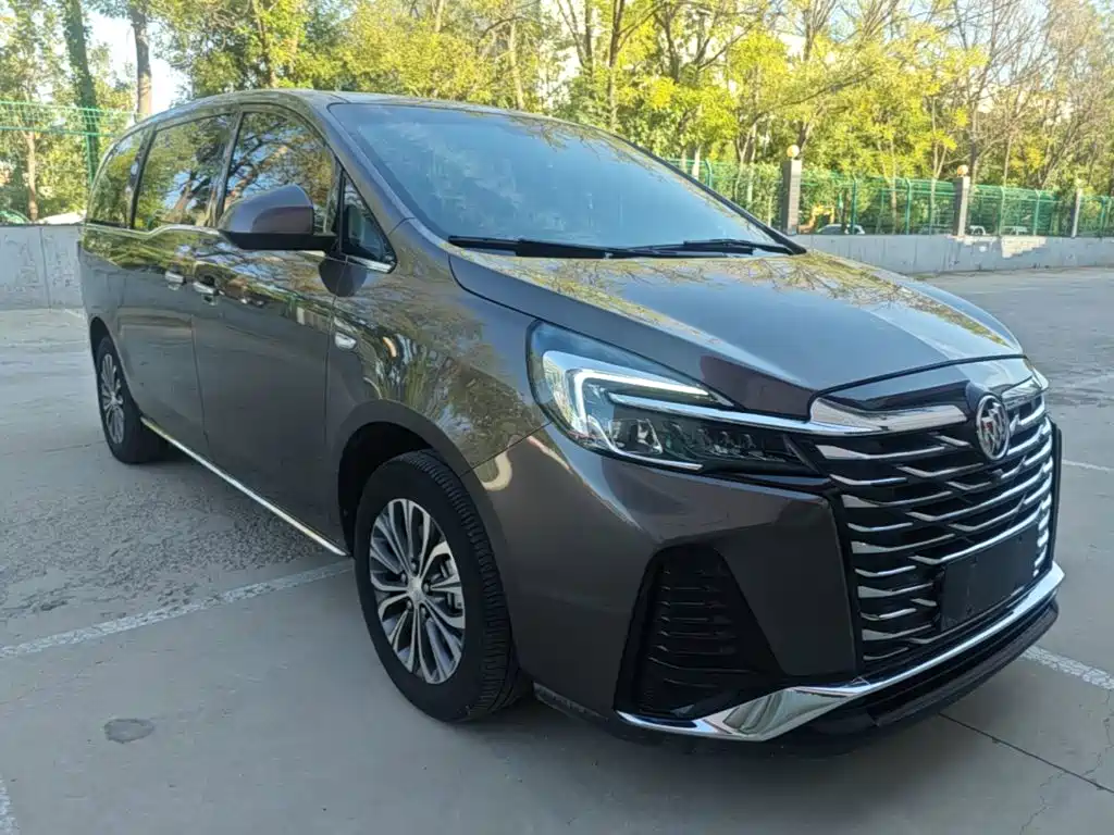 Buick GL8 — миниатюра 22