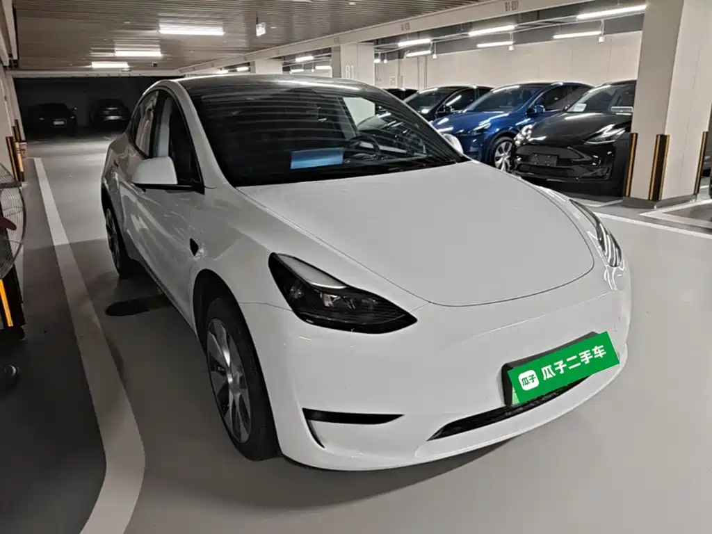 Tesla Model Y — миниатюра 4