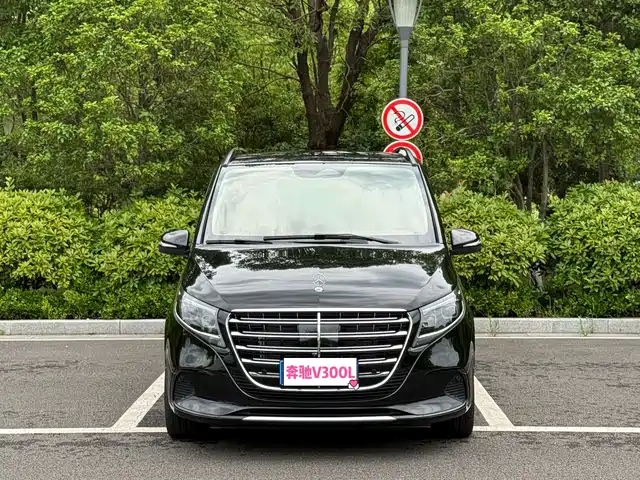 Mercedes-Benz V-Class 2024 V 300 L — фото 1