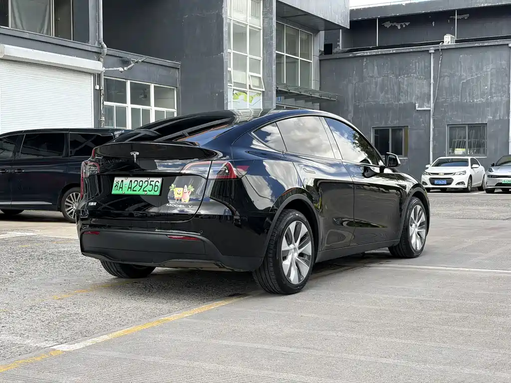 Tesla Model Y — миниатюра 5