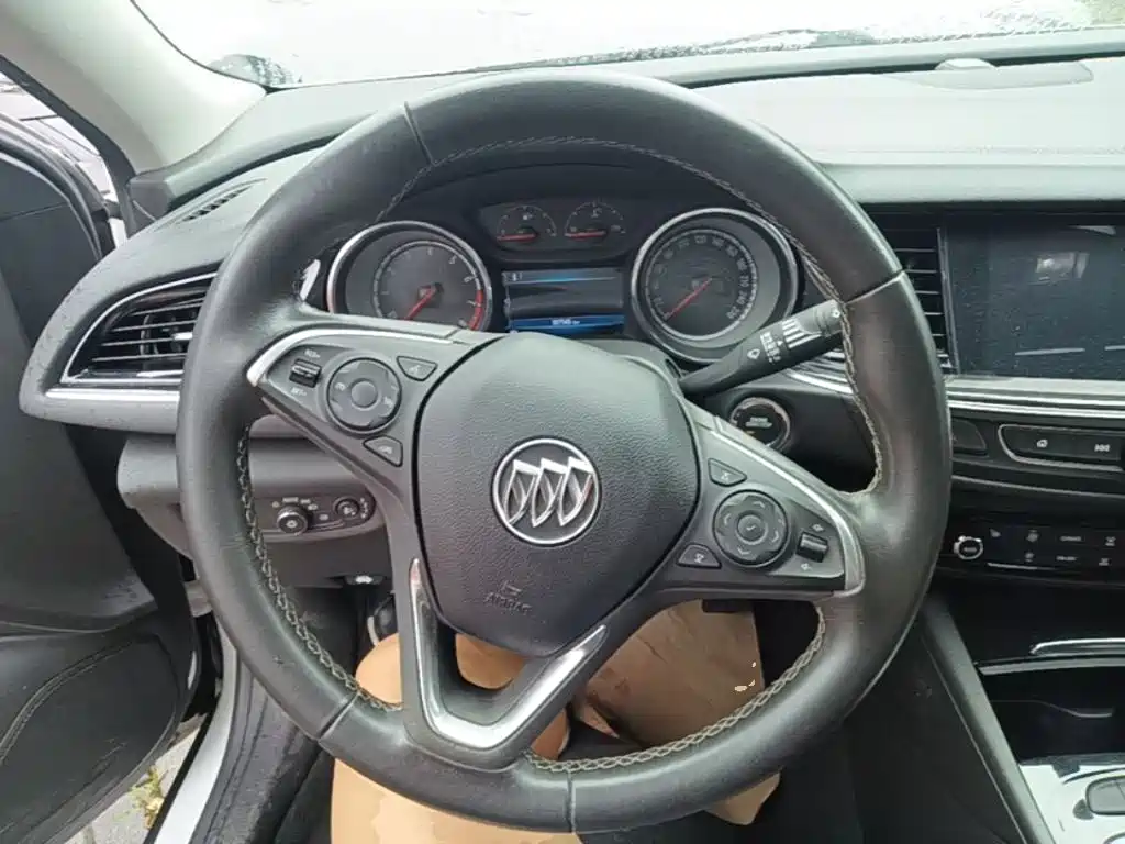 Buick Regal — миниатюра 11