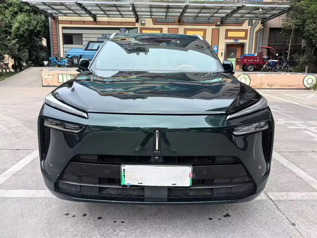 WEI PAI WEI BRAND BLUE MOUNTAIN