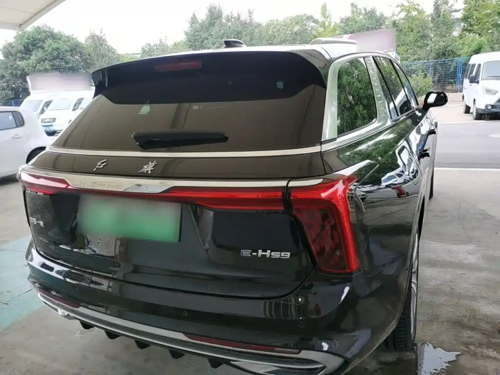 Hongqi Hongqi E-HS9 — миниатюра 6