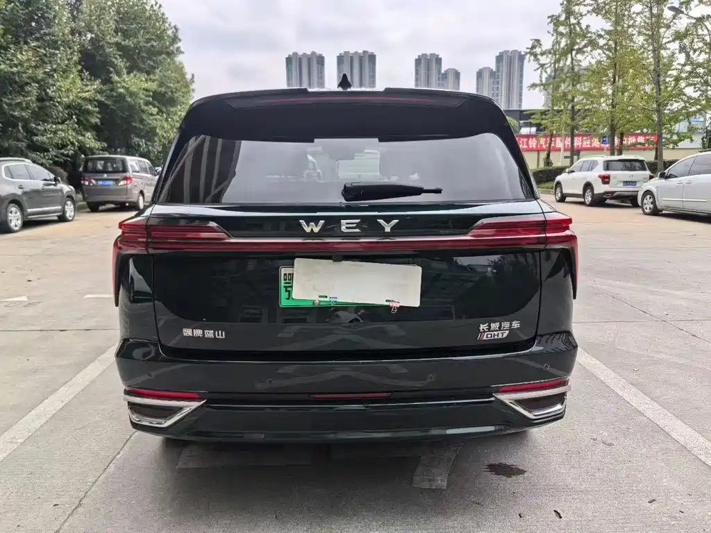 WEI PAI WEI BRAND BLUE MOUNTAIN