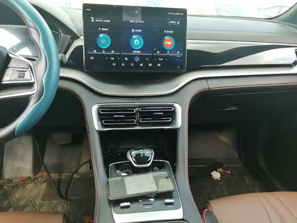 BYD PLUS — миниатюра 13