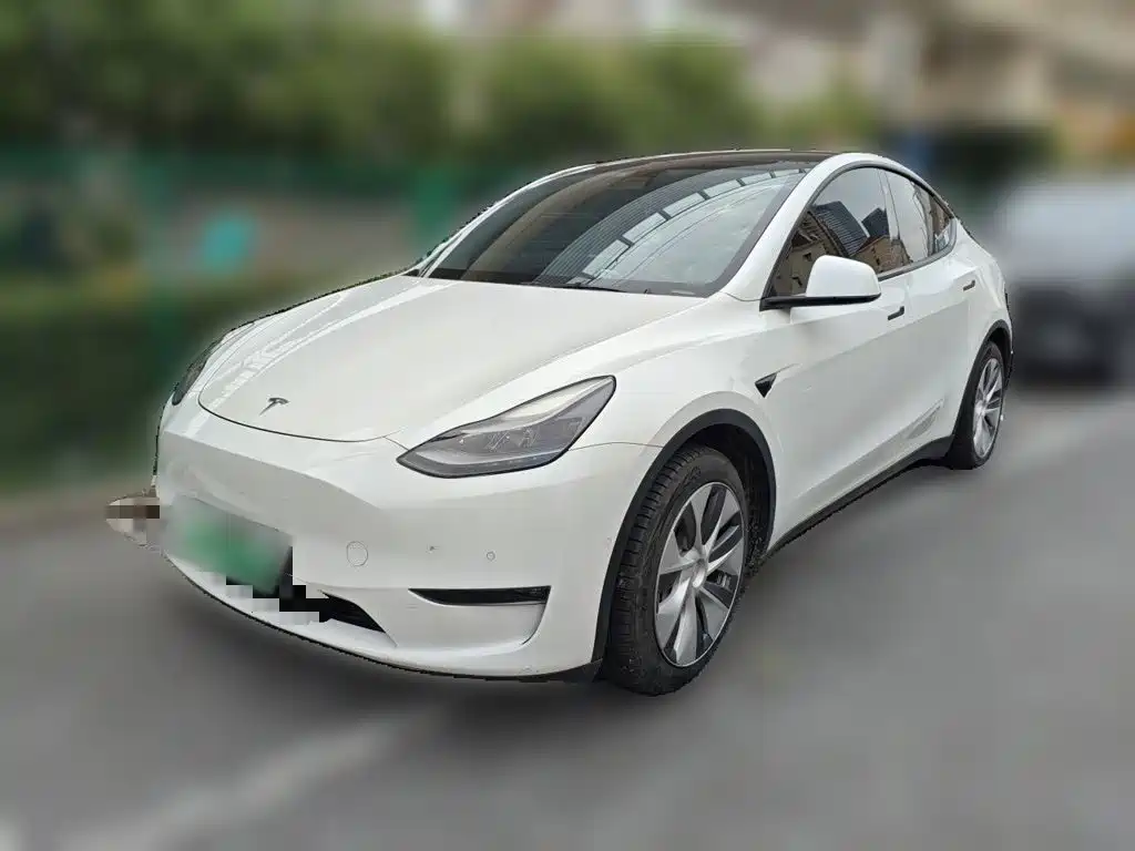 Tesla Model Y — миниатюра 2