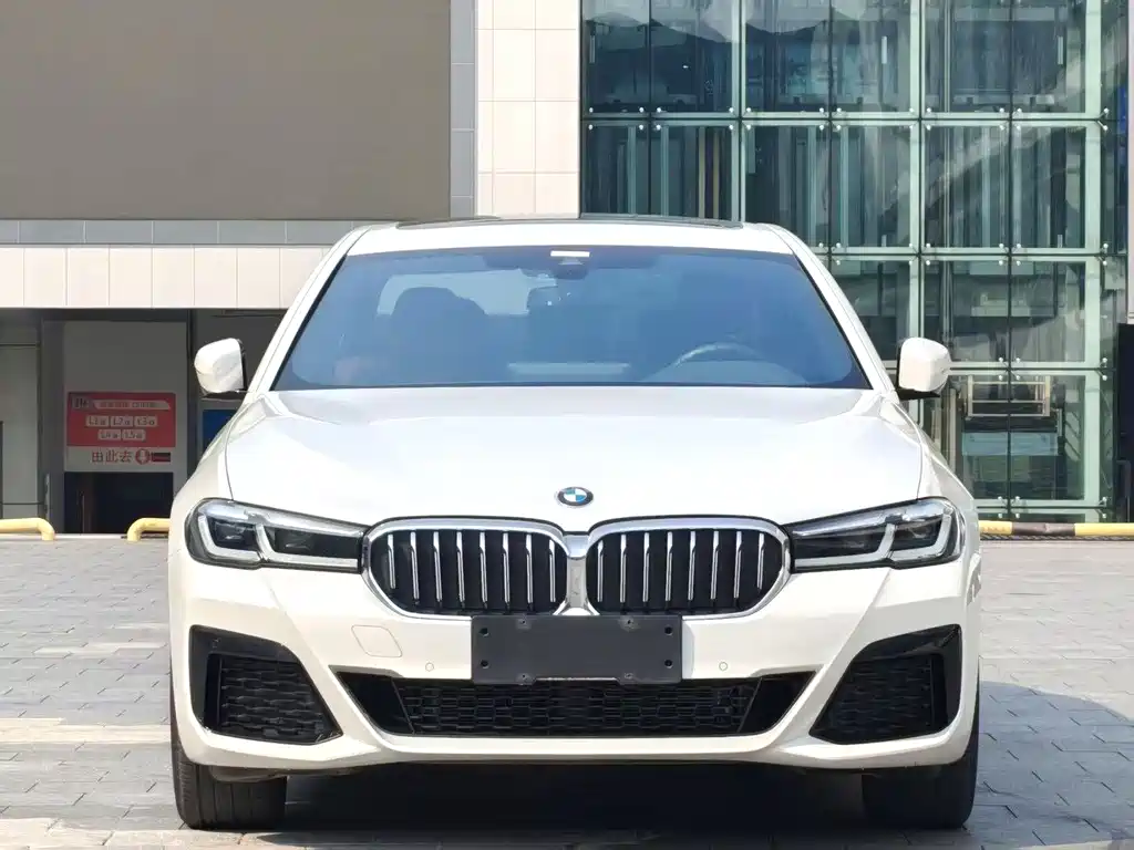 BMW 5 Series — миниатюра 2