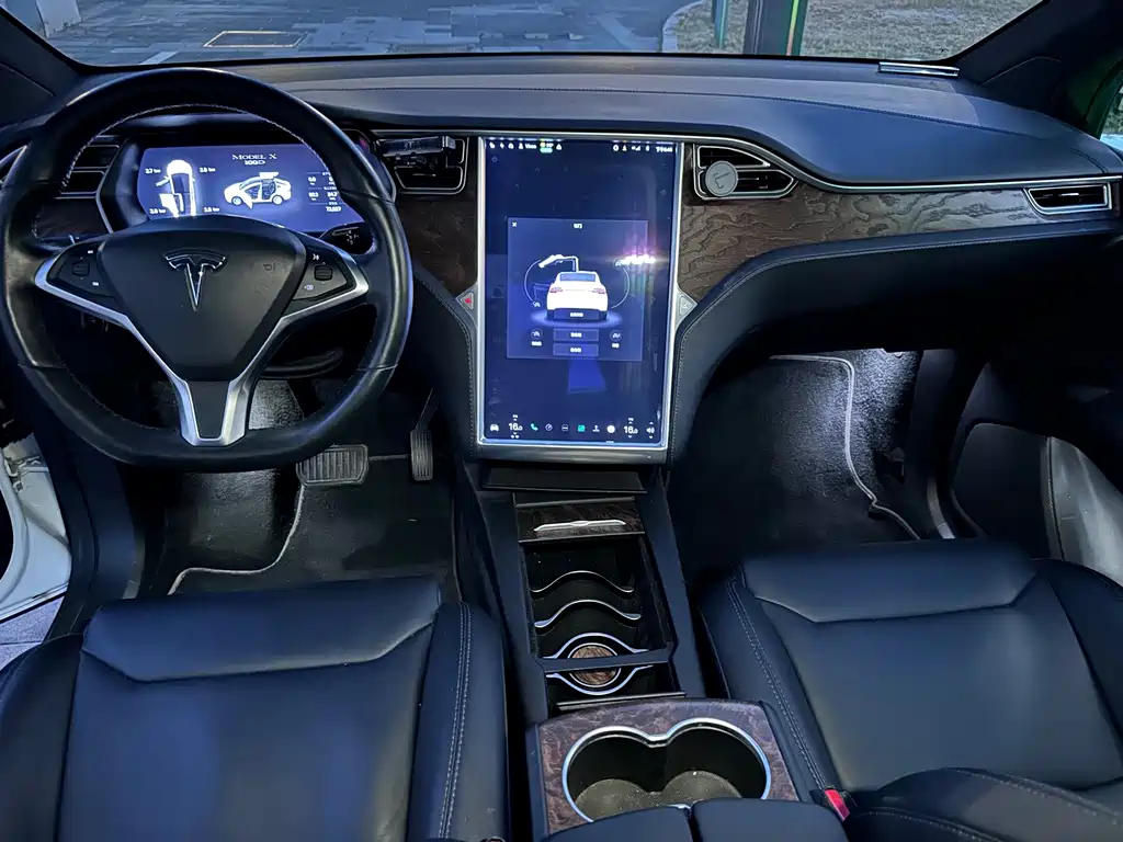 Tesla Model X — миниатюра 10