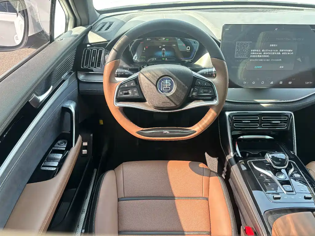 BYD Tang New Energy — миниатюра 13